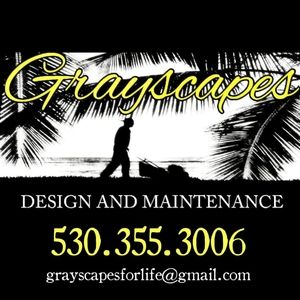 Landscape Design, Irrigation Installation and Sod